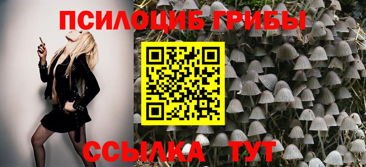 Галлюциногенные грибы Psilocybine cubensis Сунжа