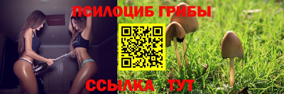 Псилоцибиновые грибы мицелий  Галлюциногенные грибы Cubensis  Вход с VPN  Сунжа 